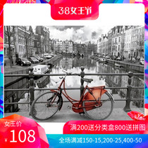 Spot EDUCA import jigsaw puzzle 1000 pieces 3000 Renoir Amsterdam bike