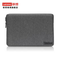 Lenovo thinkplus 13-14 inch computer in bold laptop