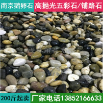 Nanjing high-gloss color rain stone pebbles washed stone River beach stone Garden courtyard paving landscaping decorative stone