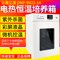 Shanghai Three-Fat DNP-9022-1A 9052-1A 9082-1 Electro-Thermal Thermostatic Cultivation Box Laboratory Cultivation Box