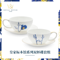 Royal Dutch Royal Dutch Eurobone Porcelain Home Coffee Cup Disc Suit For Afternoon Tea Tea Set Porcelain Gift Box