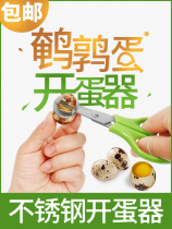 Quail Egg Scissors Stainless Steel Egg Cutter Egg Bird Egg Opening Tool Chef Supplies Multifunctional