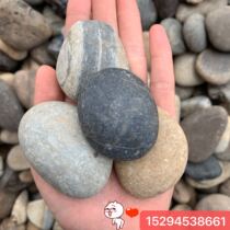 Pebble fish tank landscaping rough small white stone multicolored stone goose soft stone pebble colored stone rain stone paving