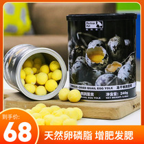 Walking the dog-Patno freeze-dried quail egg yellow cattle fish venison beauty hair nutrition snacks cat and dog Universal