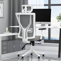 Computer chair Office chair comfortable comfortable sedentary can lie down ergonomic waist pad can take a nap seat