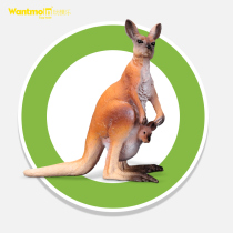 Wantmoin Playing Mold Children Solid Simulation Wildlife Model Suit Toy Male Kangaroo Early Teach Cognition
