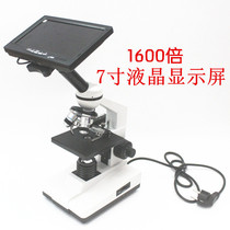 Microscope 1600 times student biooptical professional microscope Aquatic fat mite sperm sperm sperm sperm display