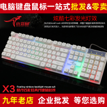 Suspended colorful backlight mechanical feel small game Keyboard Mouse set desktop home cable CF dazzle