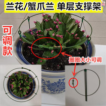 Indoor fixed crab claw orchid flower bud support bracket crab claw Lotus potted orchid special fixed frame flower stand