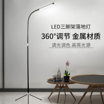  Led table lamp living room net red floor lamp ins wind Nordic light luxury art sofa side simple modern atmosphere creativity
