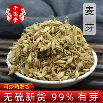 Malt 500g Chinese herbal medicine raw malt new barley malt sold fried malt Hawthorn Divine Coe Poria chicken inner gold