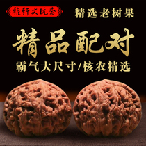 Text play Walnut play Walnut Text play Lion head four buildings Tiger head Official hat White lion Apple garden starry sky