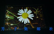 Fangzi Sets Postal Society Lighthouse Germany Lighthouse Philatelic Series-Stamp Pmail Card HP40