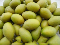 2 pieces of Shunfeng own orchard fresh olive Chaoshan Olive yellow sandalwood olive fruit pregnant woman fruit 500g