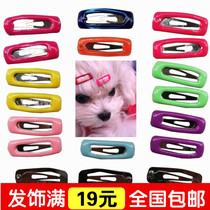 10 mini pet BB clip water drop clip love clip dog hair Teddy Yorkshire Marzis headdress