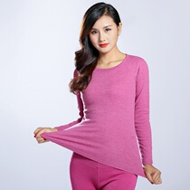 Cotton autumn clothes women wear close to the body bottom thermal underwear womens coat wear cotton autumn clothes womens single thin