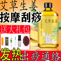 Wormwood ginger massage essential oil Shoulder and neck through the network to push back open back Moxibustion scraping Gua Sha moisture whole body gold oil massage