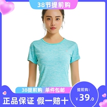 Strive for sports t - shirts short - sleeved running speed dryer fitness sports leisure t - shirt