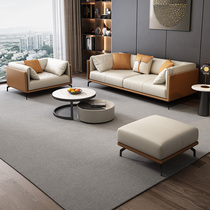 Small-sized leather sofa living room 2021 New light luxury Net red lazy sofa tatami Noble Feet