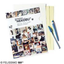 Spot Japan FinRichie Dream Catcat Cat Cat Thyme Great Collection Transparent A4 folder bag student office use