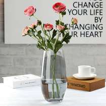 Simple glass vase dinosaur egg large European home living room decoration hydroponic rich bamboo rose flower arrangement