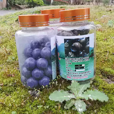 Xiao Cui fishing big objects slow down submerged water bright soft beads black carp giant green fish bait fishing gear braised meat blueberry snail beads