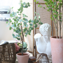  Sicily simulation green plant plus fruit eucalyptus tree Nordic ins home living room floor-to-ceiling plant potted decorative tree