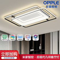 Op modern simple Nordic line living room light LED ceiling light Rice home direct intelligent control whole house set TC
