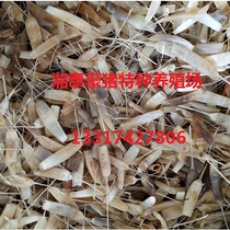 Natural Porcupine Tail Bell Body Protector