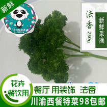 (Vegetables full 98)Fresh French fresh parsley parsley Western accessories 250g