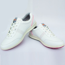 Golf Shoes Lady Golf Sneakers Fixed Nails Wear Resistant Anti Slip Women Shoes Breathable Sports Running Casual Shoes