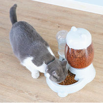 Cat feeder automatic water dispenser cat food bowl pet water dispenser not wet mouth double bowl dog bowl dog bowl anti overturning