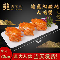 Simulation Seafood Model Yangcheng Lake Large Brake Crab Display Food Model Simulation Vegetable Crab Sample Food Molds