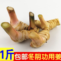 Thailand imported fresh ginger white skin South ginger 500g winter Yin Gong seasoning spices fresh ginger Reed Ginger White Mountain ginger