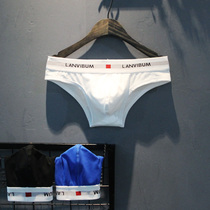 Two bikinis mens underwear triangle pure cotton low waist half hip sexy U convex pouch comfortable youth T pants tide