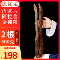 Longqi King Whole Root Cynomorium 500g One Jang Two Inner Mongolia Alxa Non-Cynomorium Tablets