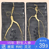 Forest wild ginseng wild ginseng Changbai Mountain forest ginseng Northeast specialty soaking wine soup soup ginseng nourishing soaking water