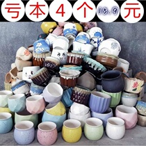 With cute green plant small flower plate cactus ball hole mini pot simple and fleshy ceramic flower pot on the ground