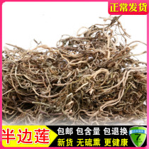 Chinese herbal medicine natural wild lotus with half flower without sulphitation selected 500 gr edible agricultural products