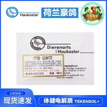 Dutch Haukee Bodyfitness Electrolyte Balance Treatment Strengthening Resistance Pigeon Parrot Bird Medicine