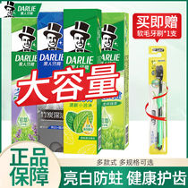 Black Toothpaste Tea Times Bodybuilding Well Green Tea Fresh Breath Solid Tooth Decay to Stench Smelly Man Official Flagship Store