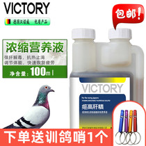 Hannover Germany high liver essence 100ml carrier pigeon medicine pigeon medicine strong liver detoxification pigeon medicine pigeon supplies