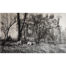 Liu Hongjun to enjoy the winter and idle paper this new steel stroke