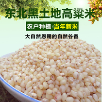 Northeast farmhouse sorghum rice red sorghum coarse grain rice grain grain porridge rice bulk peeling 5kg limited area