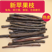 Hamster molar stone Rabbit special molar stick Pet supplies Dutch pig Chinchilla Natural fruit tree branch Apple branch