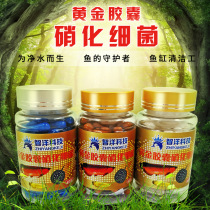 Fish tank nitrification bacteria aquarium nitrifying bacteria dry powder water quality purification digestion bacteria water purification beneficial bacteria removal of chlorine
