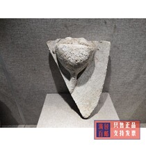 Old Stone Carving Collection of North Weifford Feet A Bar of Fidelity