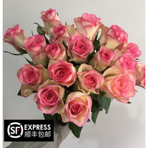 (Gesang flower)fresh rose single head rose flowers red edge rose Kunming base straight hair 18 tie