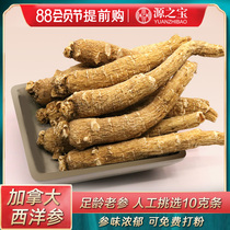 Canada imported American Ginseng section whole branch Authentic American Ginseng section can be sliced and beaten American ginseng powder gift gift