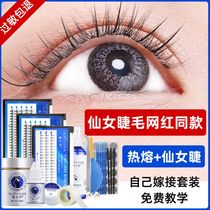 (Little Red Book recommended) Fairy hair grafting eyelashes own set false eyelashes womens single cluster tool natural simulation